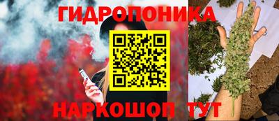 дурь Гай