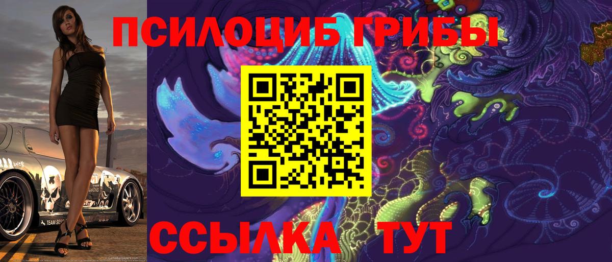 Москва  Галлюциногенные грибы мухоморы  Вход с VPN 